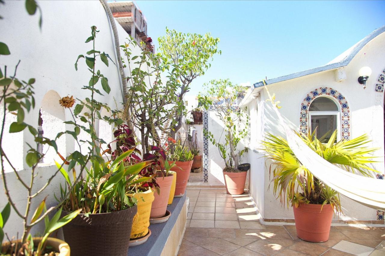 Alexandross Hostel Puerto Vallarta Exteriér fotografie